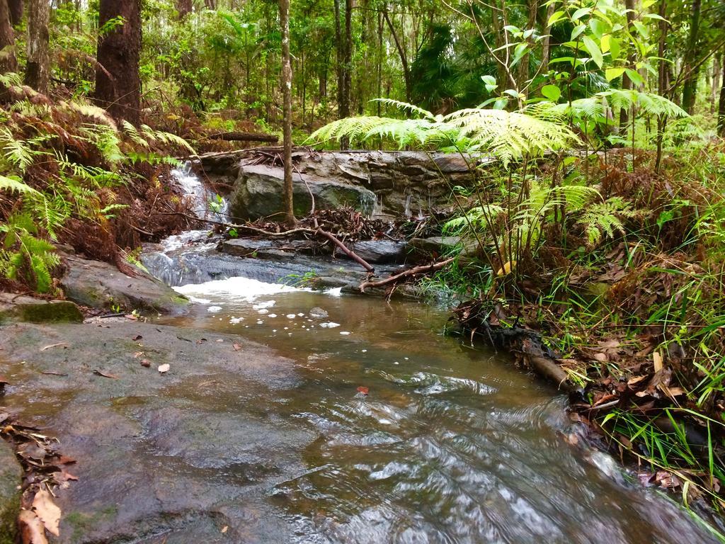 Apartament Noosa Hinterland Retreat Tinbeerwah Zewnętrze zdjęcie